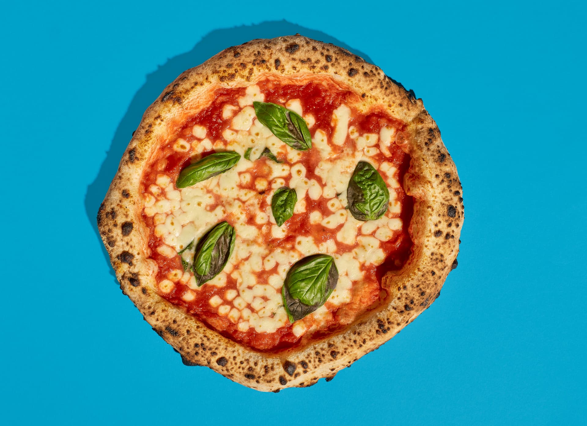 Margherita sourdough pizza with fresh basil